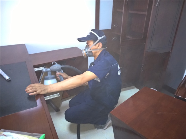 除甲醛公司靠譜嗎？能清除干凈嗎